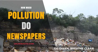 Newspapers' Pollution Impact: Understanding the Environmental Cost