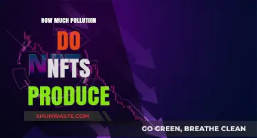 The Dark Side of NFTs: Uncovering Their Pollution Secrets