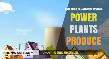 Nuclear Power Plants: Pollution and the Planet