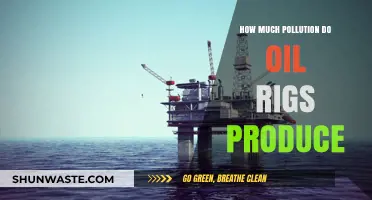 Oil Rigs: What's the Pollution Cost?