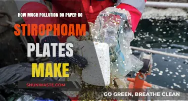 Paper vs. Styrofoam: Which Pollutes More?