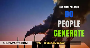 Human Impact: Pollution and Our Environmental Legacy