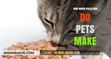 Pet Pollution: The Environmental Impact of Our Furry Friends