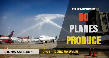 Air Travel's Pollution Problem: How Much Do Planes Produce?