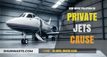 Private Jets: Environmental Impact and the Price of Luxury