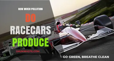 Race Cars: Environmental Impact and Pollution Produced