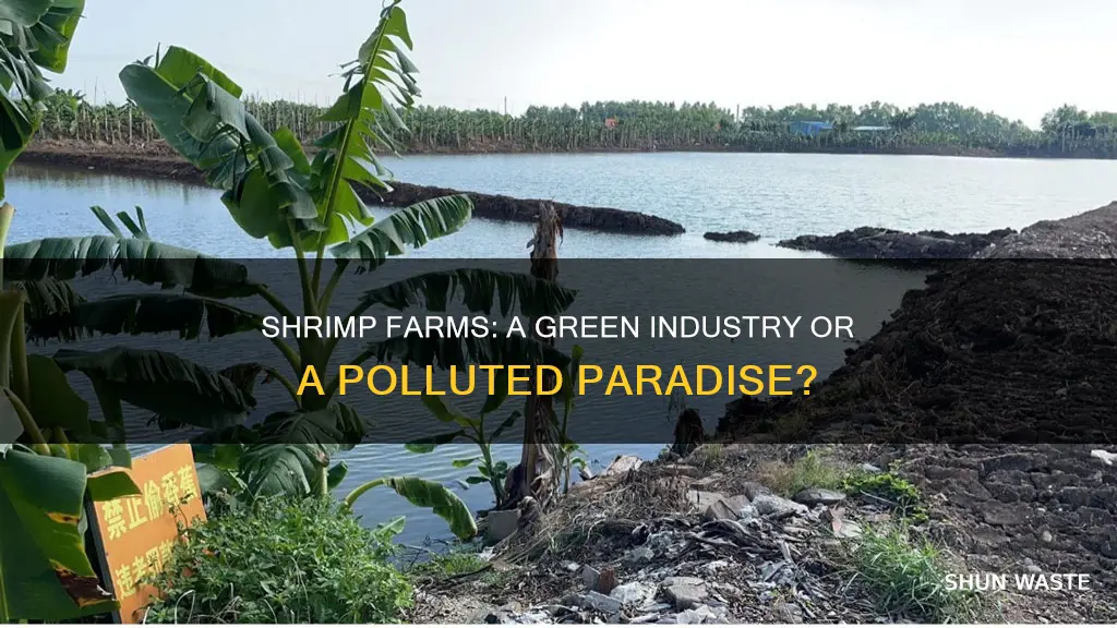 how much pollution do shrimp farms cause