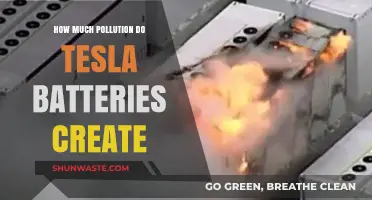 The Dark Side of Tesla: Battery Pollution Secrets