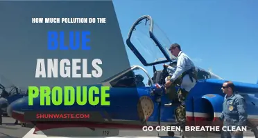 The Blue Angels' Pollution Problem