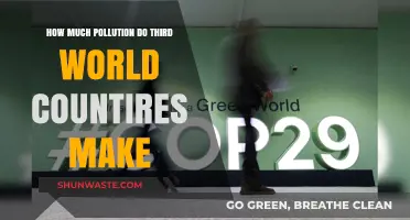 Developing Nations' Pollution: A Global Concern?