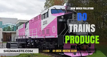 Trains and Pollution: How Much is Too Much?