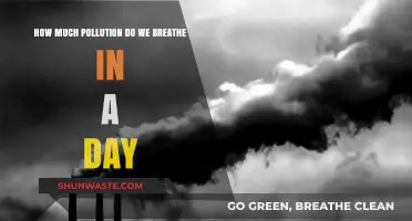 Air Pollution: Breathing Toxic Air Daily