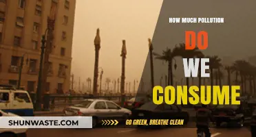 The Air We Breathe: Pollution Consumption