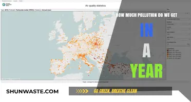 Annual Pollution Levels: A Global Concern