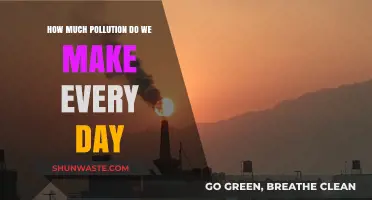 Humanity's Daily Pollution Problem