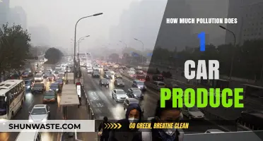 Cars: Major Polluters on the Road