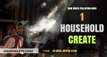 The Impact of Household Pollution: A Global Concern