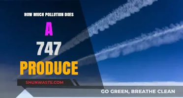 Understanding the Pollution Output of a Jumbo Jet