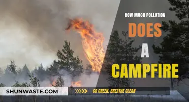 Campfire Pollution: Understanding the Environmental Impact
