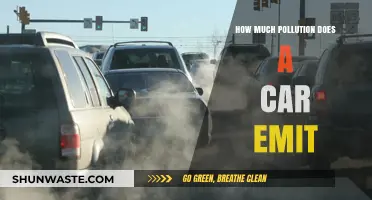 Cars: Major Polluters on the Road