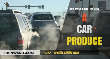 Cars: Understanding Their Pollution Impact