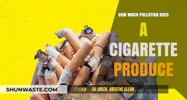 Cigarettes: A Major Source of Air Pollution