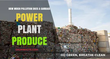Garbage Power Plants: Pollution Produced and Its Impact