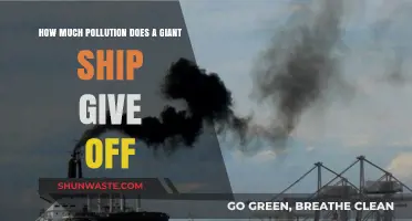 Huge Ships, Massive Pollution: What's the Real Cost?