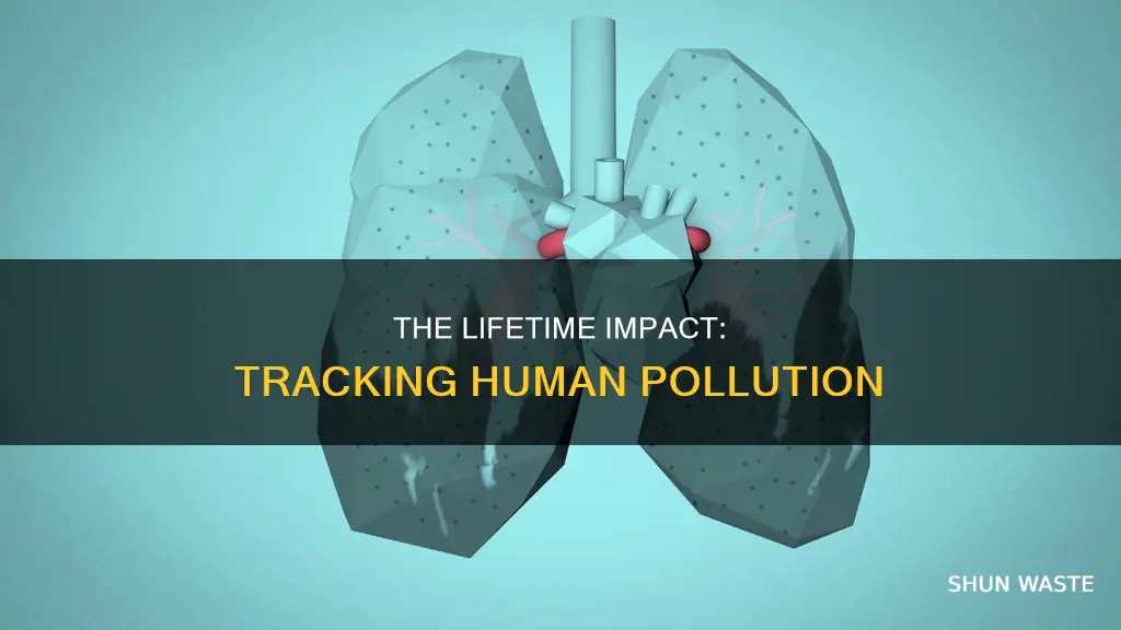 how much pollution does a human cause in their lifetime