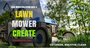 Lawn Mowers: Pollution and Environmental Impact