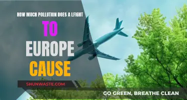 Unveiling the Impact: Europe's Skies and the Cost of a Flight