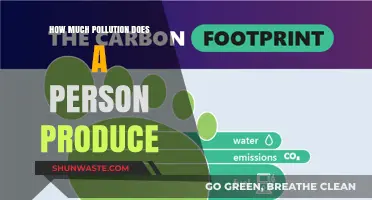 Human Impact: Understanding Personal Pollution Production