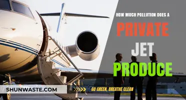 Private Jets: Luxury or Environmental Disaster?