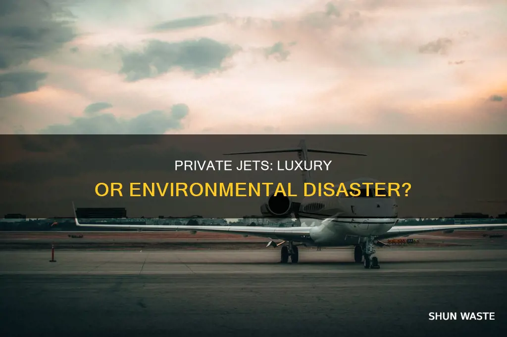 how much pollution does a private jet produce