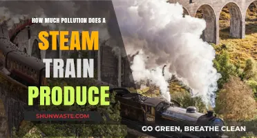 Steam Trains: Pollution and Environmental Impact Explored