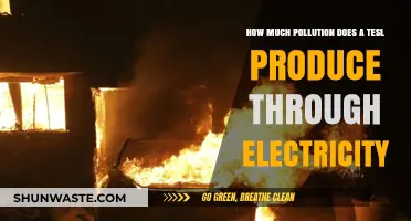 Electric Cars and Pollution: The Tesla Paradox