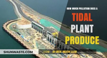 Tidal Power Plants: Pollution and the Environment