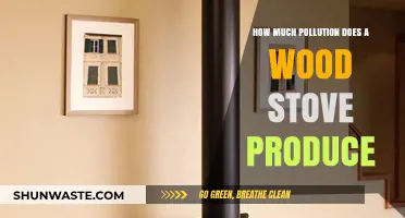 Wood Stoves: Are They Really Polluting Our Air?
