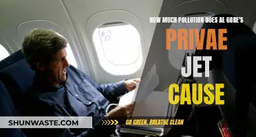 Al Gore's Private Jet: A Look at Its Environmental Impact