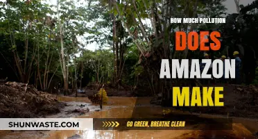 Amazon's Pollution Problem: The Real Cost of Online Shopping