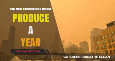 The US's Annual Pollution Output: A Sobering Reality Check