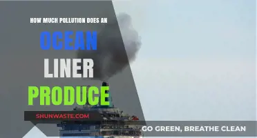Ocean Liners: Polluting Our Seas?