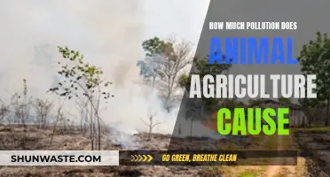 Animal Agriculture's Hidden Environmental Cost: A Shocking Truth