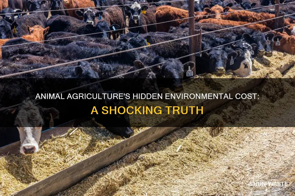 how much pollution does animal agriculture cause