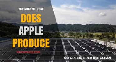 Apple's Pollution Problem: A Closer Look