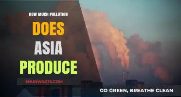 The Troubling Rise of Asia's Pollution Levels