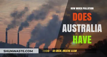 Australia's Pollution Problem: A Comprehensive Overview
