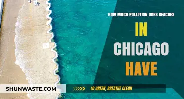 Chicago's Beaches: Pollution and Environmental Concerns