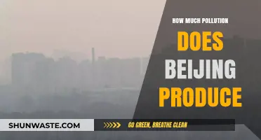 Beijing's Pollution Problem: A Critical Analysis