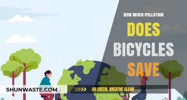 Bicycles: Reducing Pollution, Improving Health